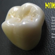 Monolithic Zirconia